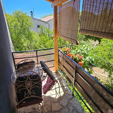 Aurora Apartment